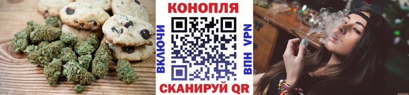 дарнет шоп  Назарово  Canna-Cookies конопля 